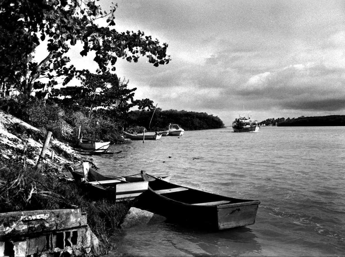 julianoserraweb's tweet image. Fim de tarde no Rio Jucuruçu. #pradobahia #kodak TX320 #viewcamera 4x5 #emulsive #shootfilmbenice #filmphotography, #believeinfilm