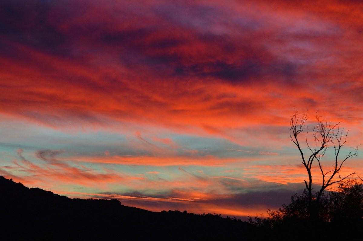 Morgan Lloyd tweet media