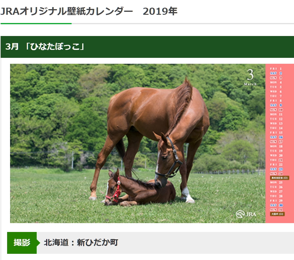 斎藤司 サイン競馬の世界 京成杯オータムハンデキャップ セントウルステークス サイン コチラは歴代のjraオリジナル 壁紙カレンダーで仔馬が写っていたもの 画像参照 サンシャインステークス 仁川ステークス 中京スポニチ賞 中山記念 阪急杯