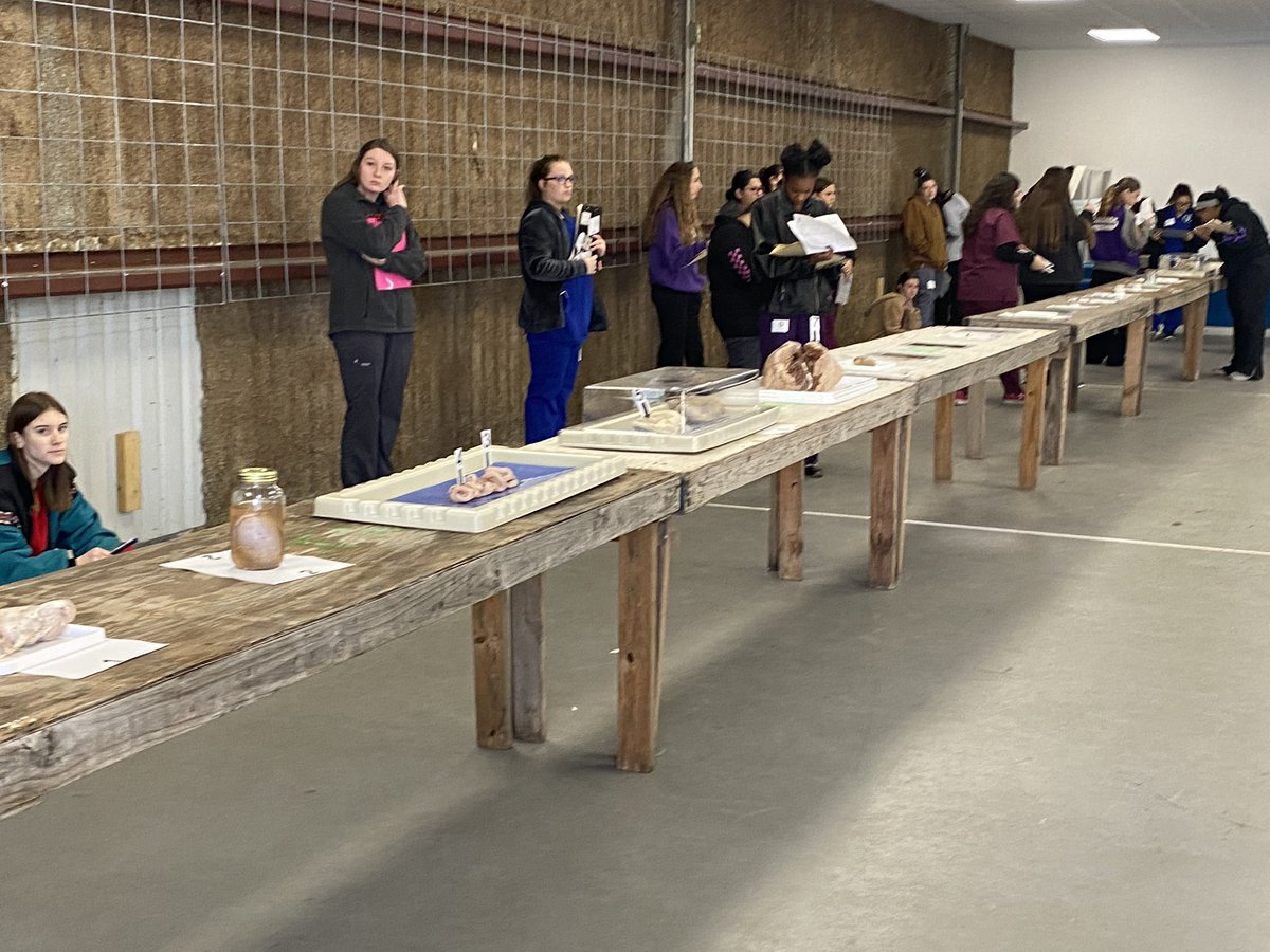 Great morning at the Alvin ISD Student Invitational! Job well done to our Ag Science Team ! We have over 1100 student participants from various school districts out Judging today!