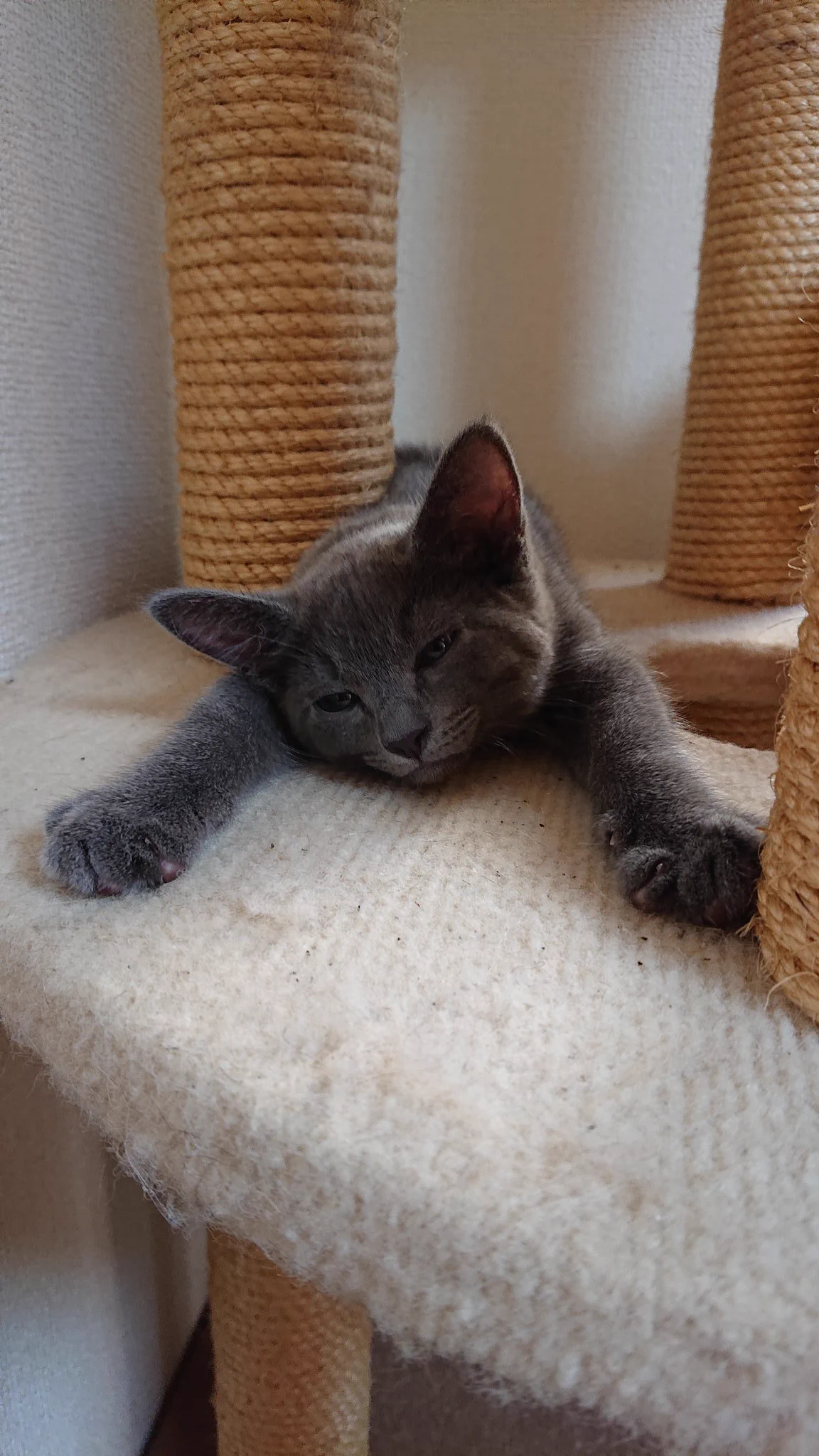 @hidekiccan ウチのパターンです。 