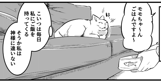 猫は神、間違いない 