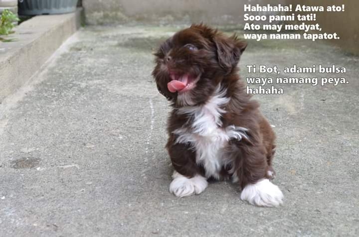 000Brooklyn's tweet photo. I keep seeing these kind of memes on FB 😁😝. So cute.
#BotAmo
#MiBibi https://t.co/KyB6s0Z0jl