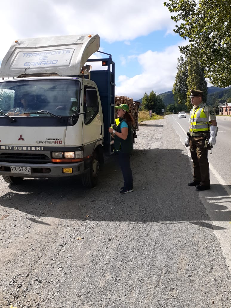 CarabLosRios's tweet photo. En la Ruta T-204, que une #LosLagos con #Valdivia, Carabineros del Retén #Antilhue junto al personal de @conaf_minagri fiscalizan transporte de madera nativa.
#LaPrevenciónEsNuestraEsencia https://t.co/swVFbhWmo7