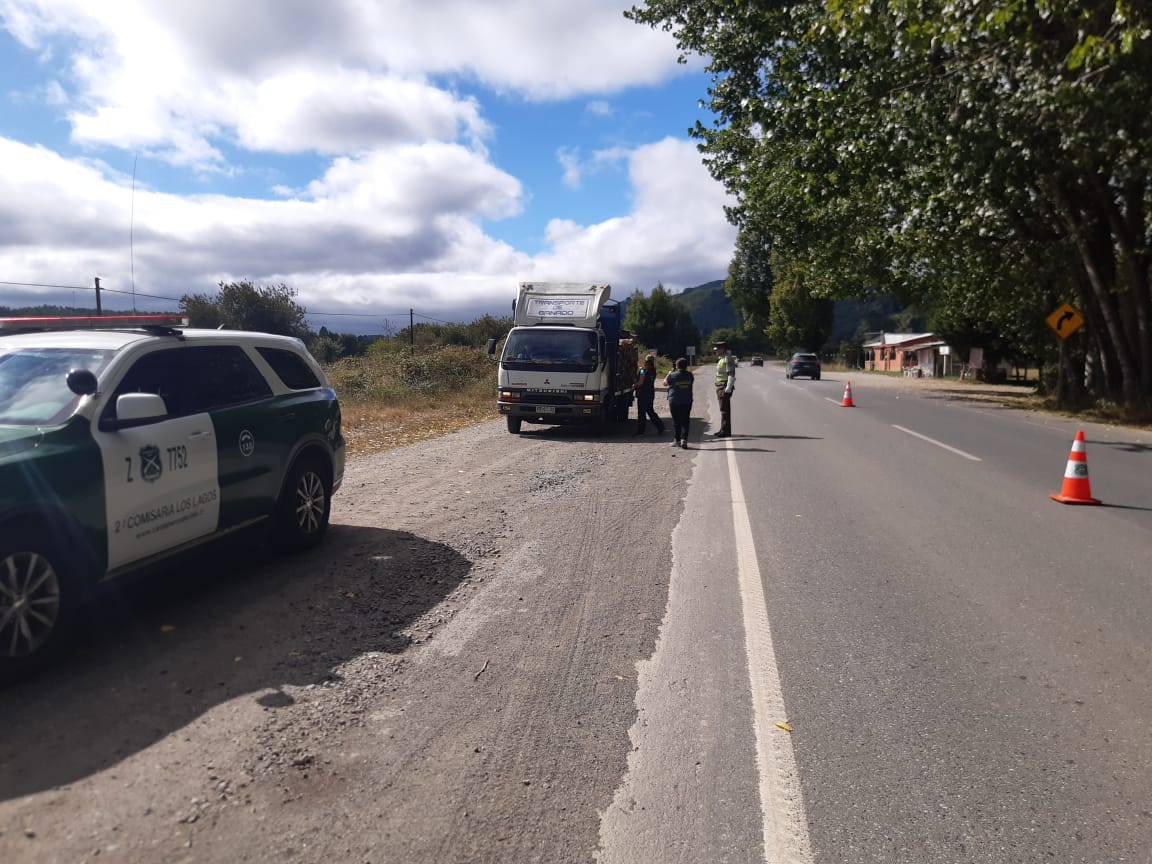 CarabLosRios's tweet photo. En la Ruta T-204, que une #LosLagos con #Valdivia, Carabineros del Retén #Antilhue junto al personal de @conaf_minagri fiscalizan transporte de madera nativa.
#LaPrevenciónEsNuestraEsencia https://t.co/swVFbhWmo7