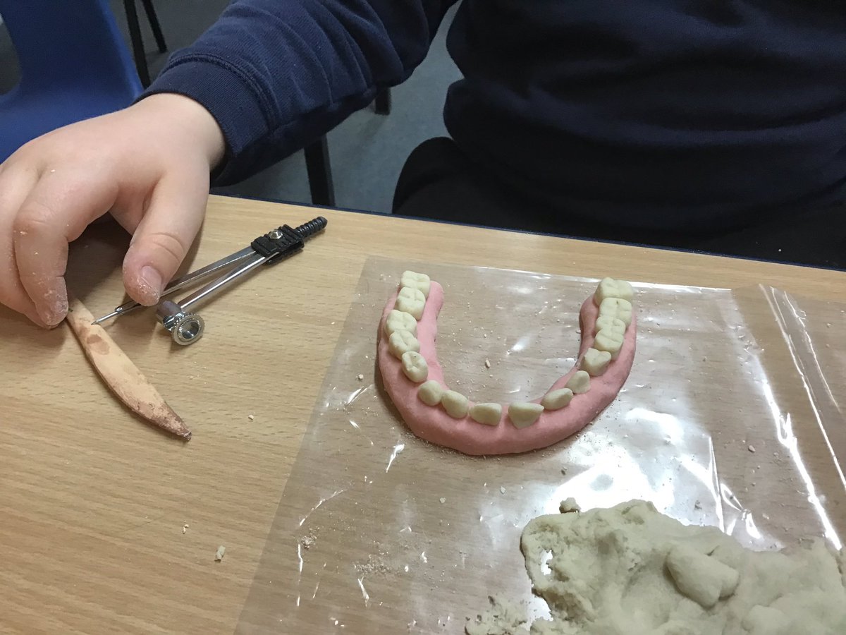 GoodrichCESch's tweet photo. This afternoon, Owls used their scientific knowledge of teeth to mould and sculpt a set of dentures. I think we have some budding dentists in the making! #GSowls #GSscience #GStopic https://t.co/FkW9vo9GQG