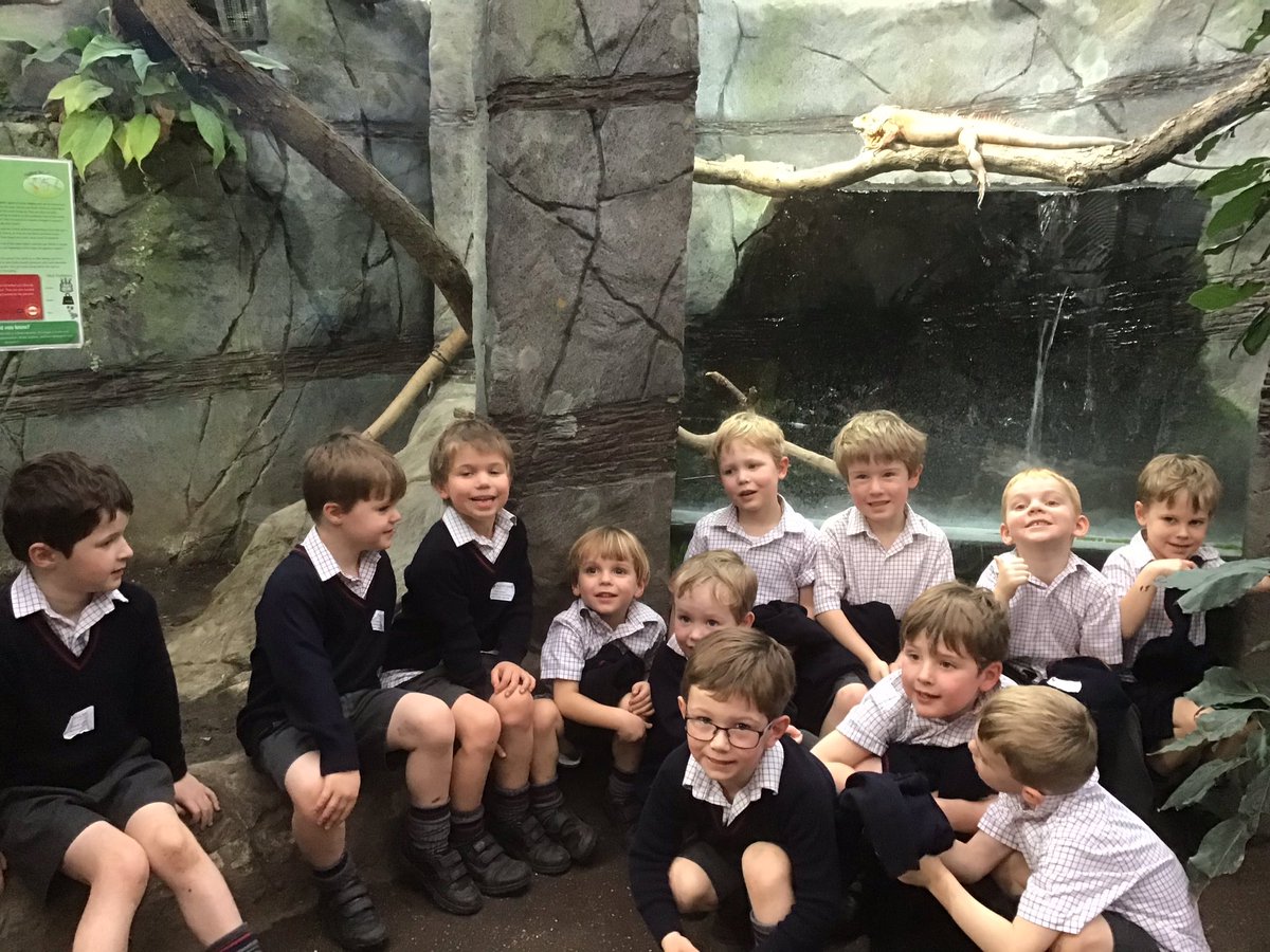 MoulsfordPP's tweet photo. Bobcats have thoroughly enjoyed their trip to the Living Rainforest today. We were very surprised to learn that chocolate and avocados comes from the rain forests.๐ธ๐ฆ๐๐๐ฆ ๐ฅ๐ซ#livingrainforest #mpsfun #activelearning https://t.co/JmgOOFd2mR