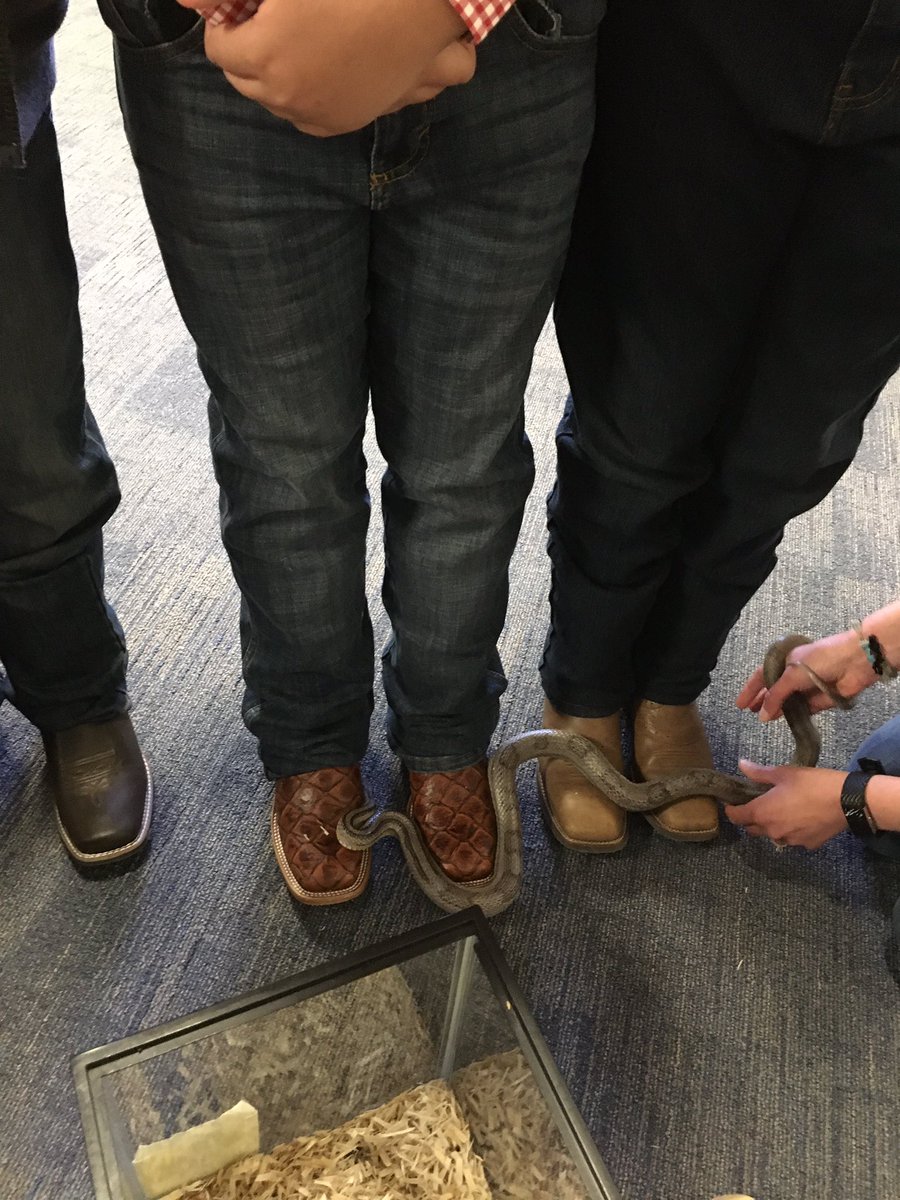 Meredith Boudreaux tweet media