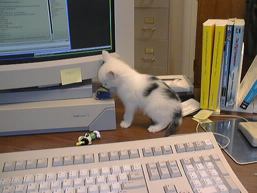 monitorcats's tweet image. 16