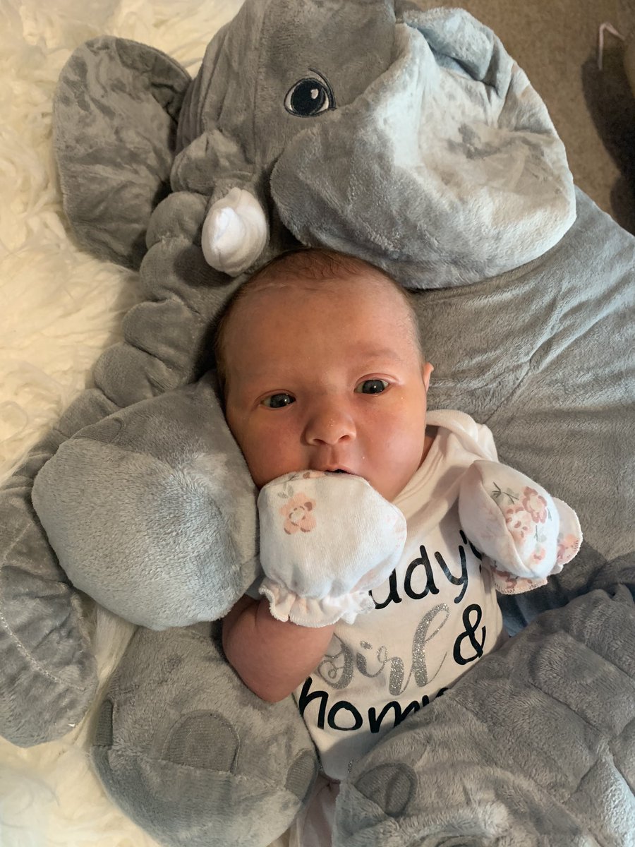 BabyBoyles's tweet photo. So blessed with these guys💕
I love my little family🥰@WinterAllYear9 https://t.co/JekPEmoFJ3