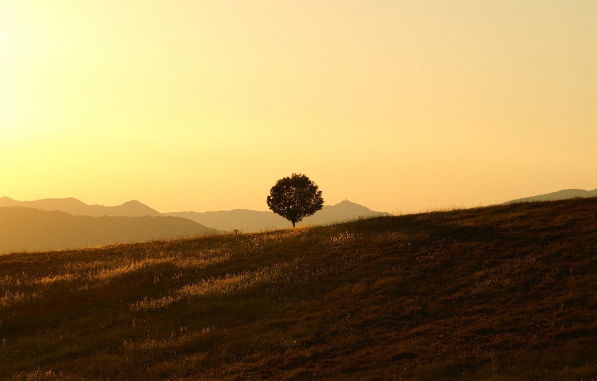 Clifton Asset Management Plc tweet media