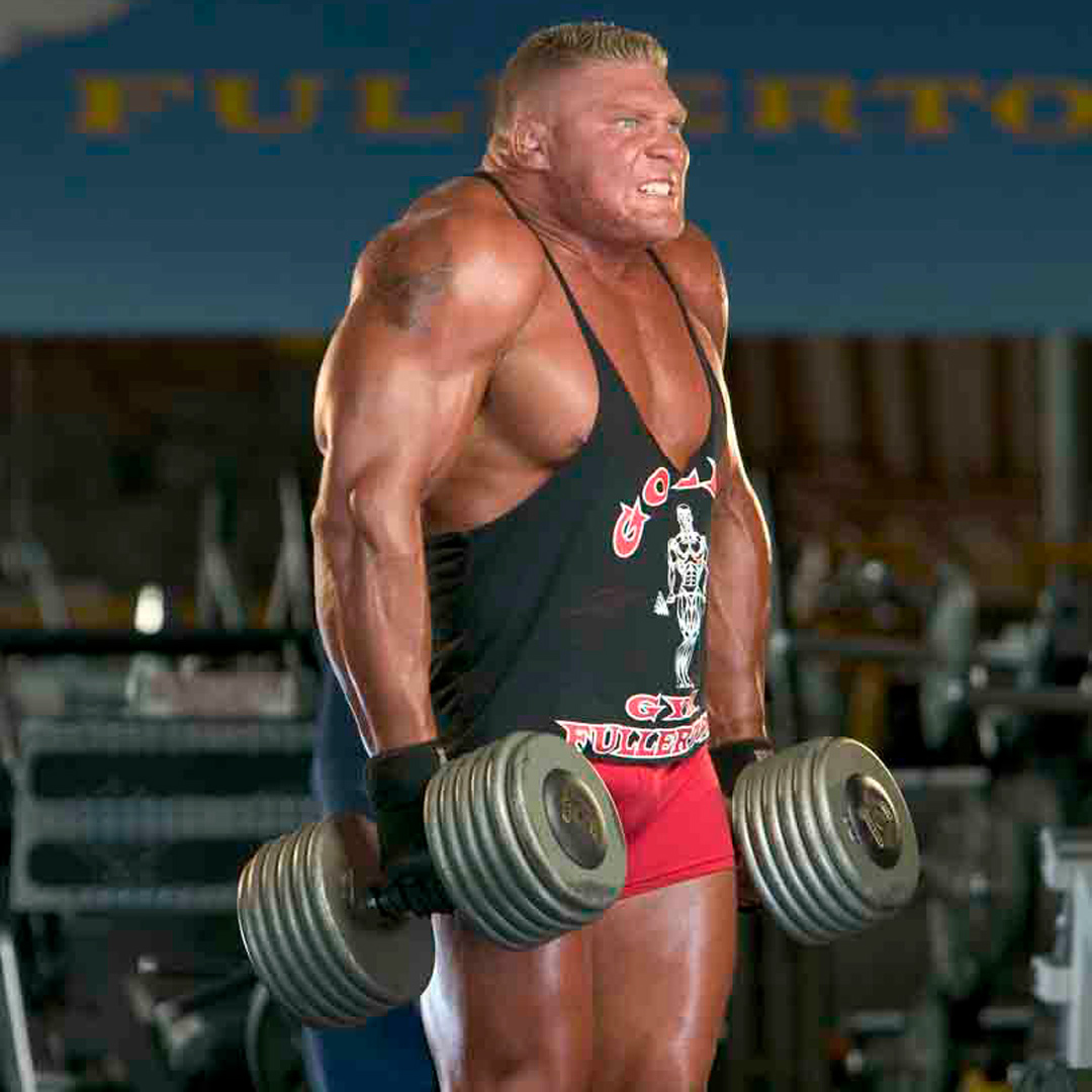 Did anyone DEFINE #RuthlessAggression more than #NextBigThing @BrockLesnar?cc: @HeymanHustle