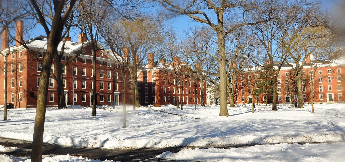 that building and others like it form Harvard Yard, the heart of the university: some of what you see here is 18th century, some of it 19th, some of it 20th. it is frankly a very boring idiom, and what started here has become the standard Fancy Boring College idiom across the US