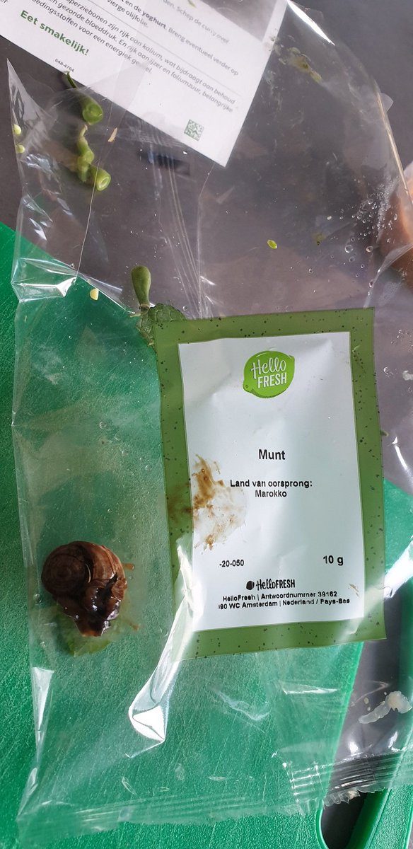 peanky74's tweet photo. @HelloFreshNL  ik heb jullie woensdag een PB gestuurd over een slak in de munt. 
Normaal reageren jullie heel snel maar nu niets eens als een slak🤣😉 https://t.co/GwgvGfPVWh