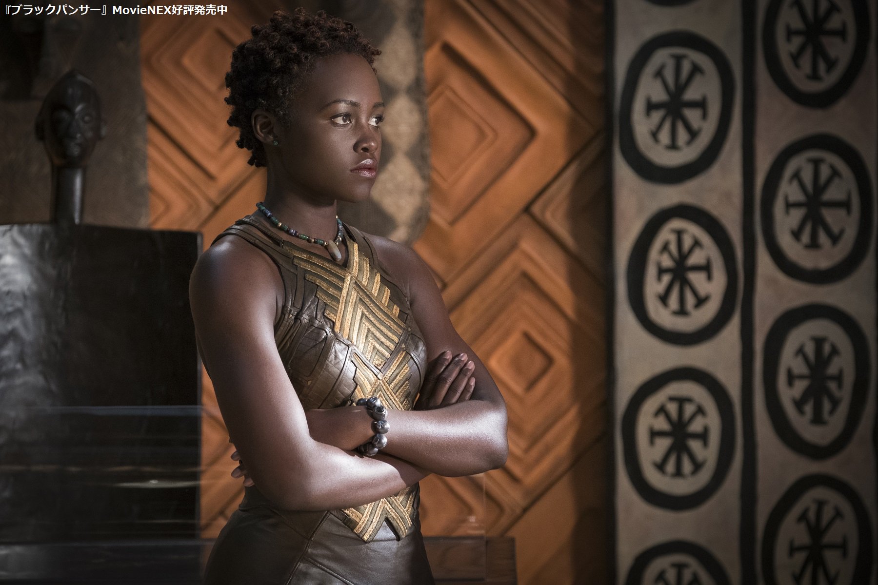 マーベルスタジオ　10周年　ブラックパンサー　ナキア　アベンジャーズ　ワカンダ マーベル・レジェンド 6インチ・アクションフィギュア MCU