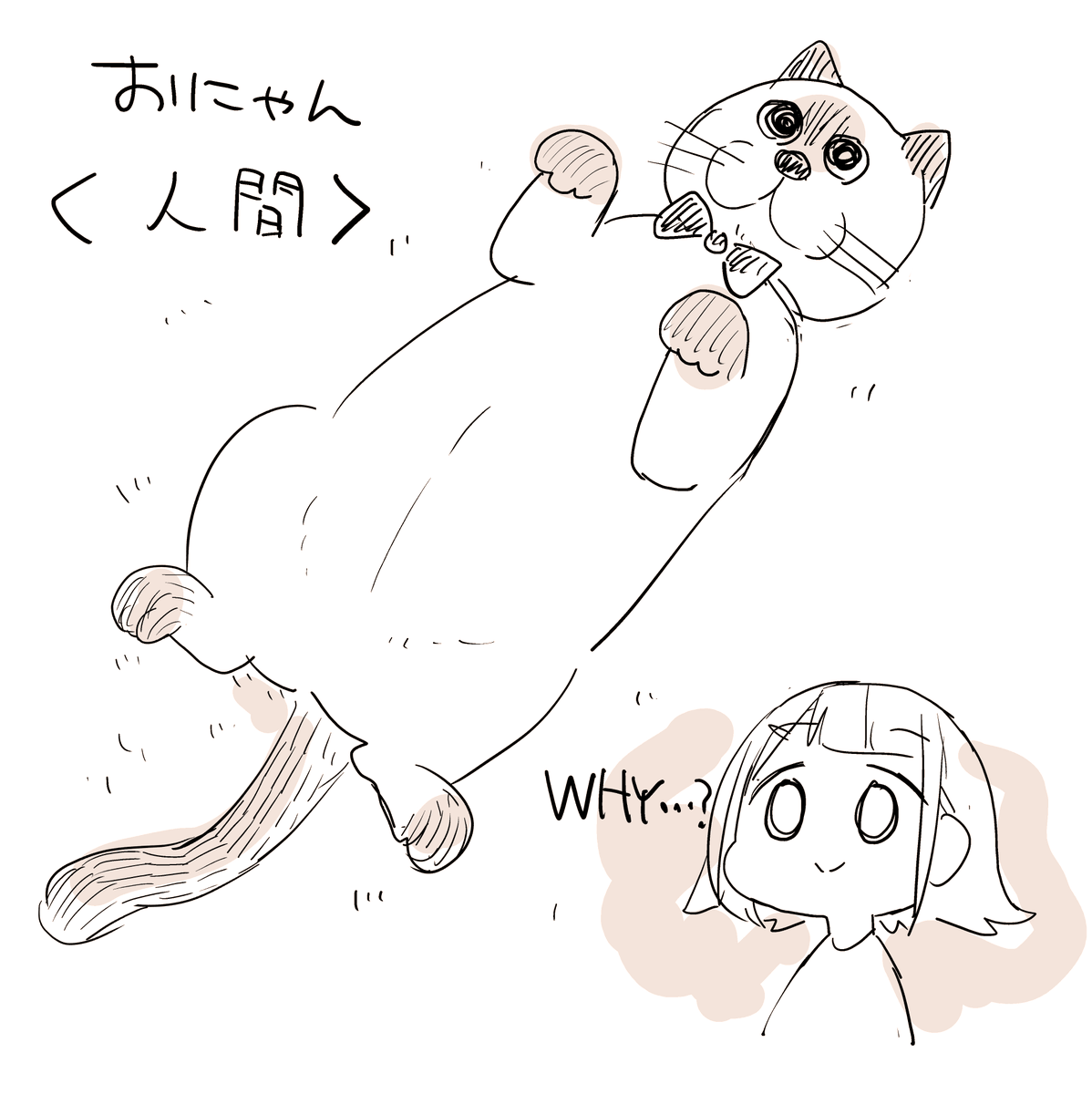 「寝るだけでかわいい生物「猫」のいろんな寝方 」|ぬこー様ちゃん@絵日記毎日18時更新のイラスト