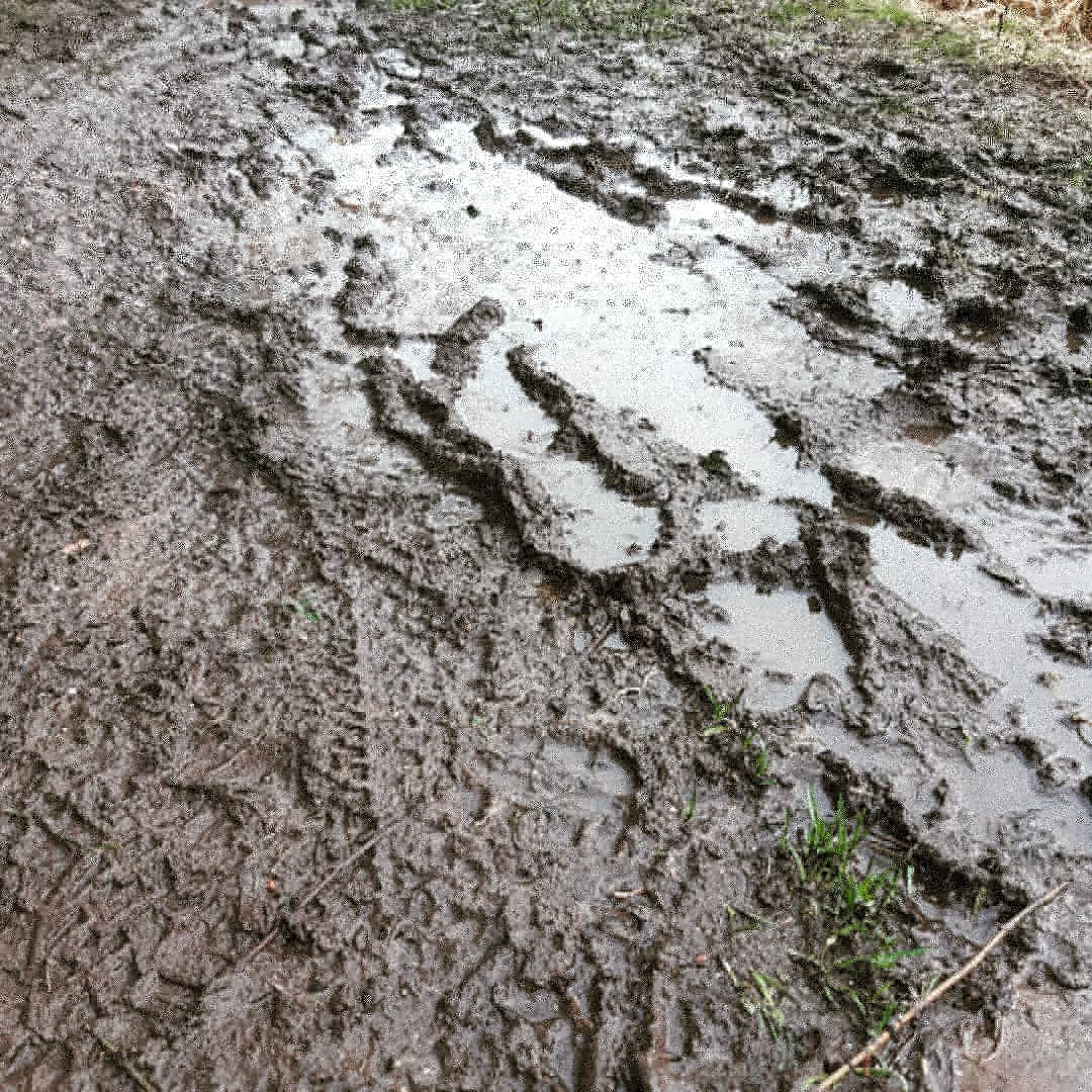 AndSmelly's tweet image. Husband says I'm a running wanker. After today's effort I fear he might not be far off. Proud that I didn't let me tendency to give up for any excuse get the better of me tho.

#SmellySocksGoesRunning #running #runningwanker