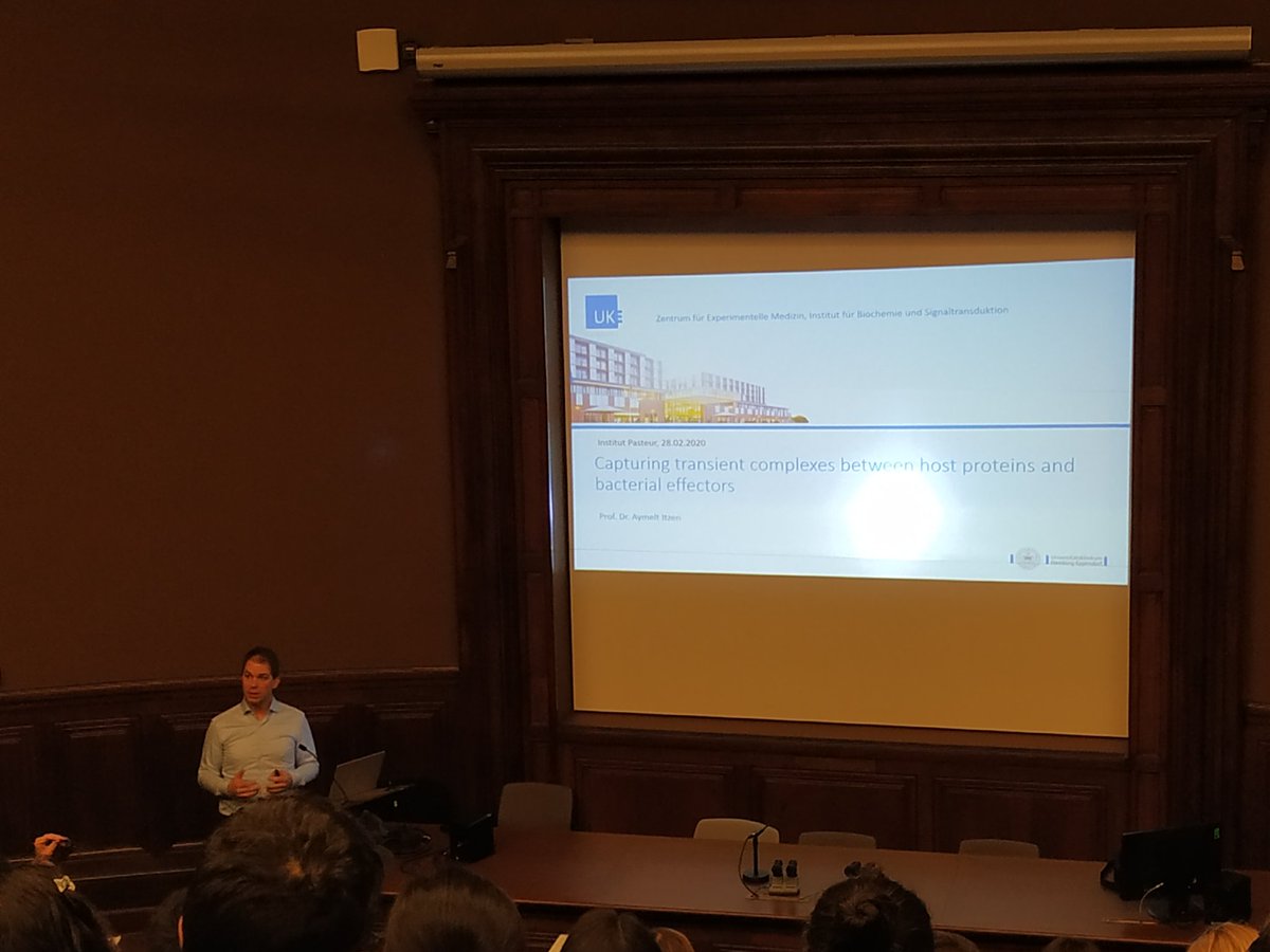 anaelenaperezcobas tweet media