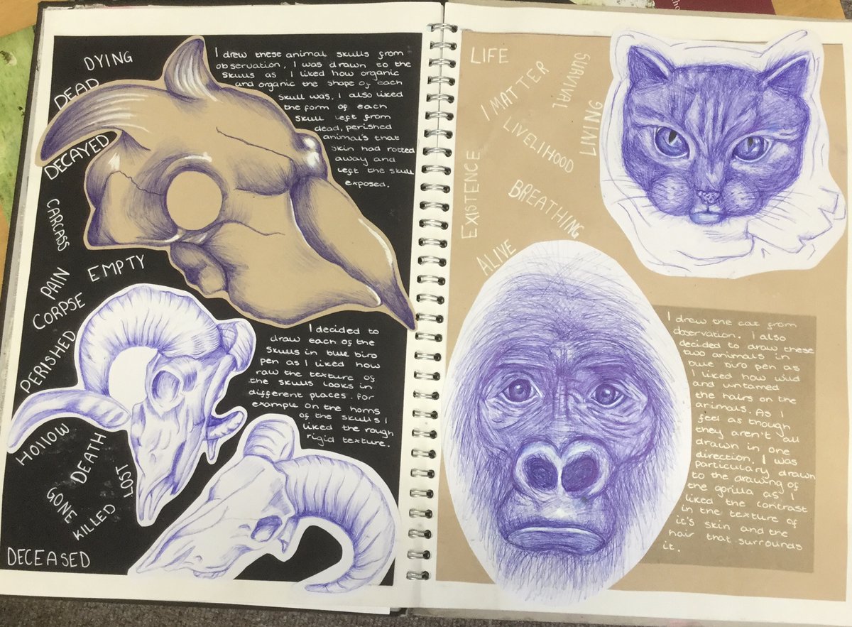 Leehurst Swan School Year 10 Gcse Artists Have Started Their Coursework Exploring The Theme Of Contrast Here Are Some Examples Of Their Exciting Sketchbook Work Mrs Gimenez Is Really Excited