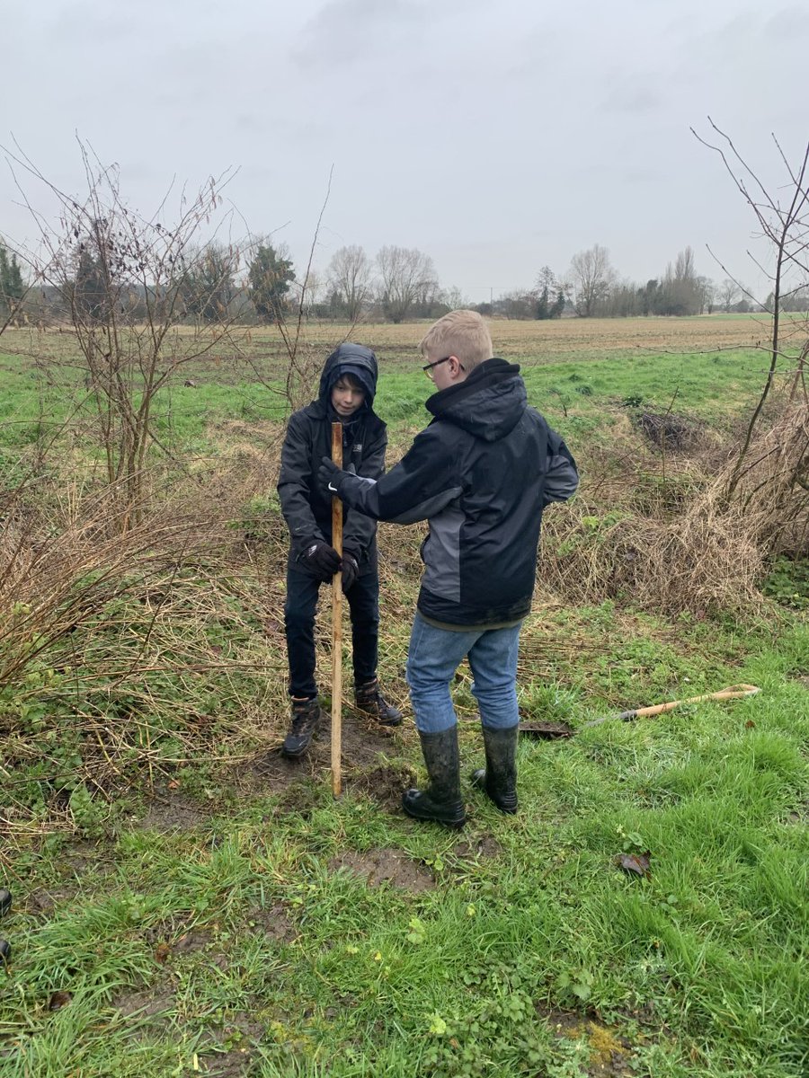 eco_swa's tweet photo. More planting today - 20 trees at Clifton Bury Farm. Ashley and Jenson planted 20 Old English Oaks. It was wet and cold but we did it and as it was local, we walked. So huge well done boys for putting in the hard work! #SWAFightingBack https://t.co/6aGLWhxTaf