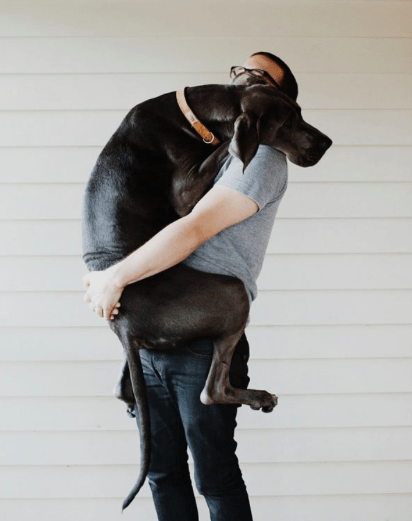 PortionProRx's tweet photo. Here are 4 dog hug photos that warm our hearts this morning! #pets #petlove #doglovers #portionprorx #portionpro https://t.co/OqMeAUNTdi
