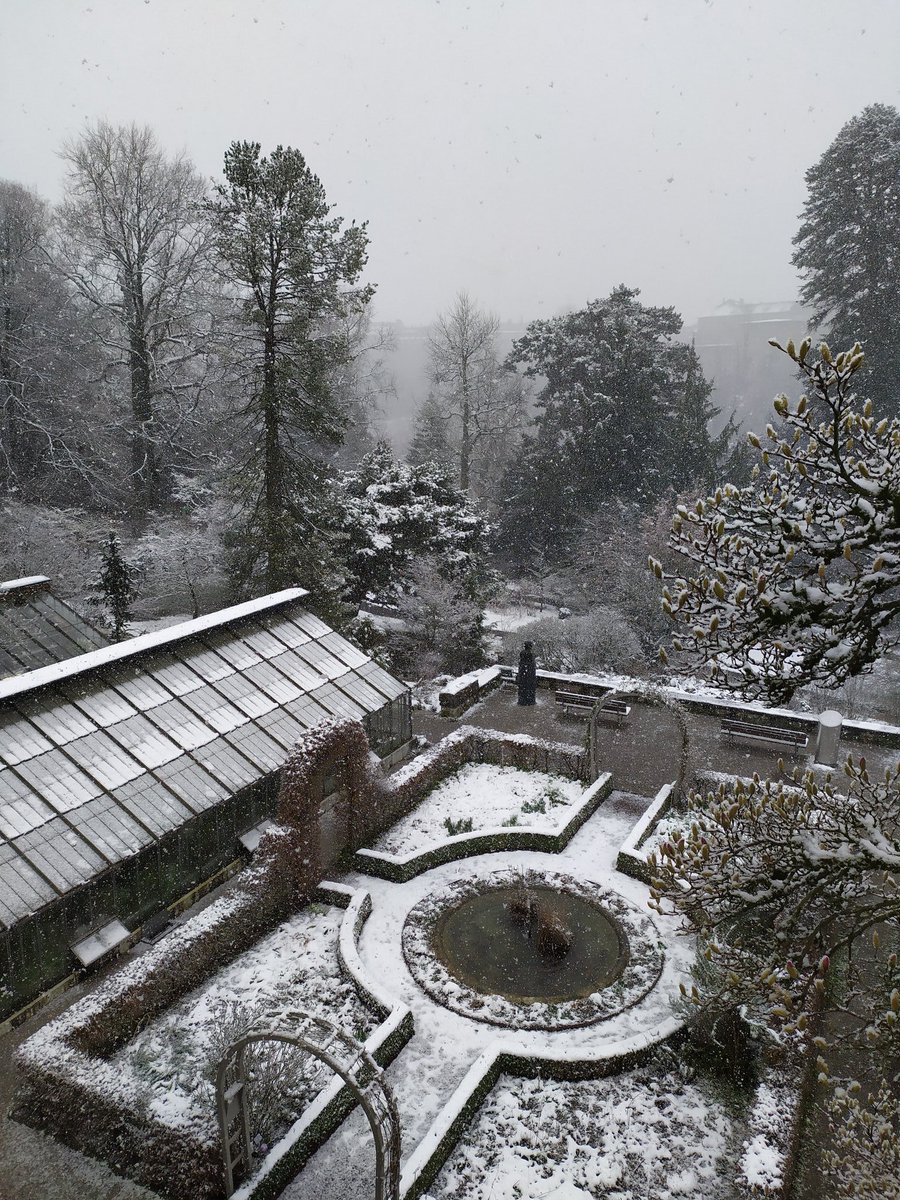 #PaNDiv is getting ready for first fieldwork season ! Next two weeks we'll be measuring our focal plants height and how crowded is the area where they'll be growing... Hopefully there'll be no snow anymore (photo : this morning in field vs yesterday in Bern) 😅 #plantcoexistence