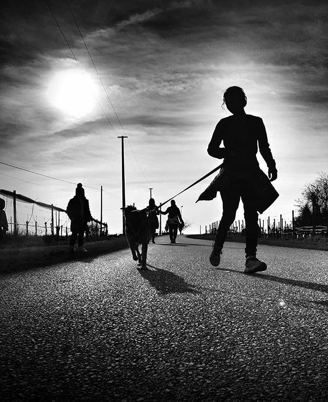 Il nostro venerdì è in #biancoenero e con la foto di oggi <a href="/zanini1976/">Alessandro Zanini</a> ci fa partecipi di una bella corsa all’aria aperta. Proprio quello che ci vuole in una giornata di sole così! ☀️🏃‍♀️
.
Continuate ad usare il nostro hashtag #igersud, le vostre foto e … ift.tt/2wYcBhz
