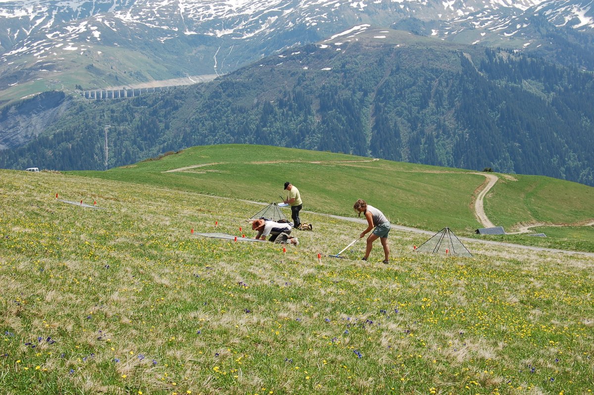 Alternet_Europe's tweet photo. #BiodiversityKeyMessages:
(5) The new EU Biodiversity Strategy should recognize the role of monitoring trends in #biodiversity & #ecosystemservices for:
➢Implementation of existing policy
➢Early warnings if new action is needed
➢Guiding new policy development across sectors https://t.co/790lKkPylw