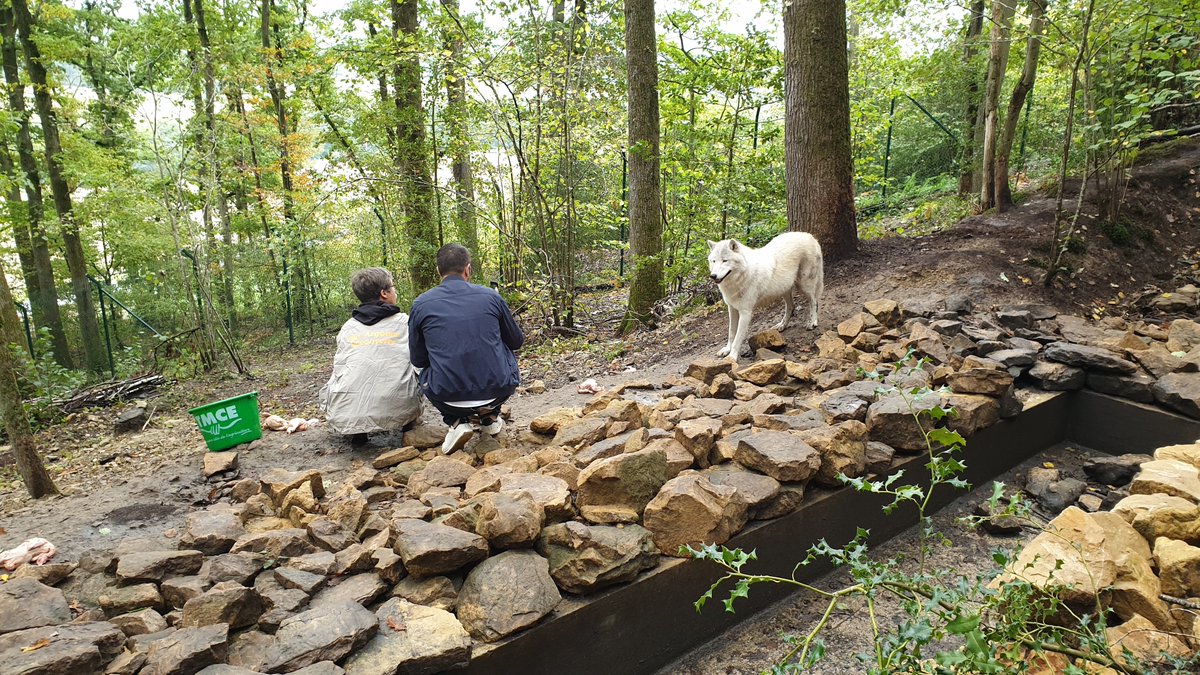 2capsproduction's tweet photo. Ce dimanche 12h55 sera diffusée sur @France3tv GrandEst 📺 l'émission #AmoureuxDeNature🌿😊 l'occasion de revenir en photos sur notre tournage #PourquoiChercherPlusLoin en septembre dernier 🎥 #DindeRouge🦃 #ParcLoups🐺 #PeintureNaturelle🎨 #VillageNature🌿 https://t.co/ywV07wfvF1