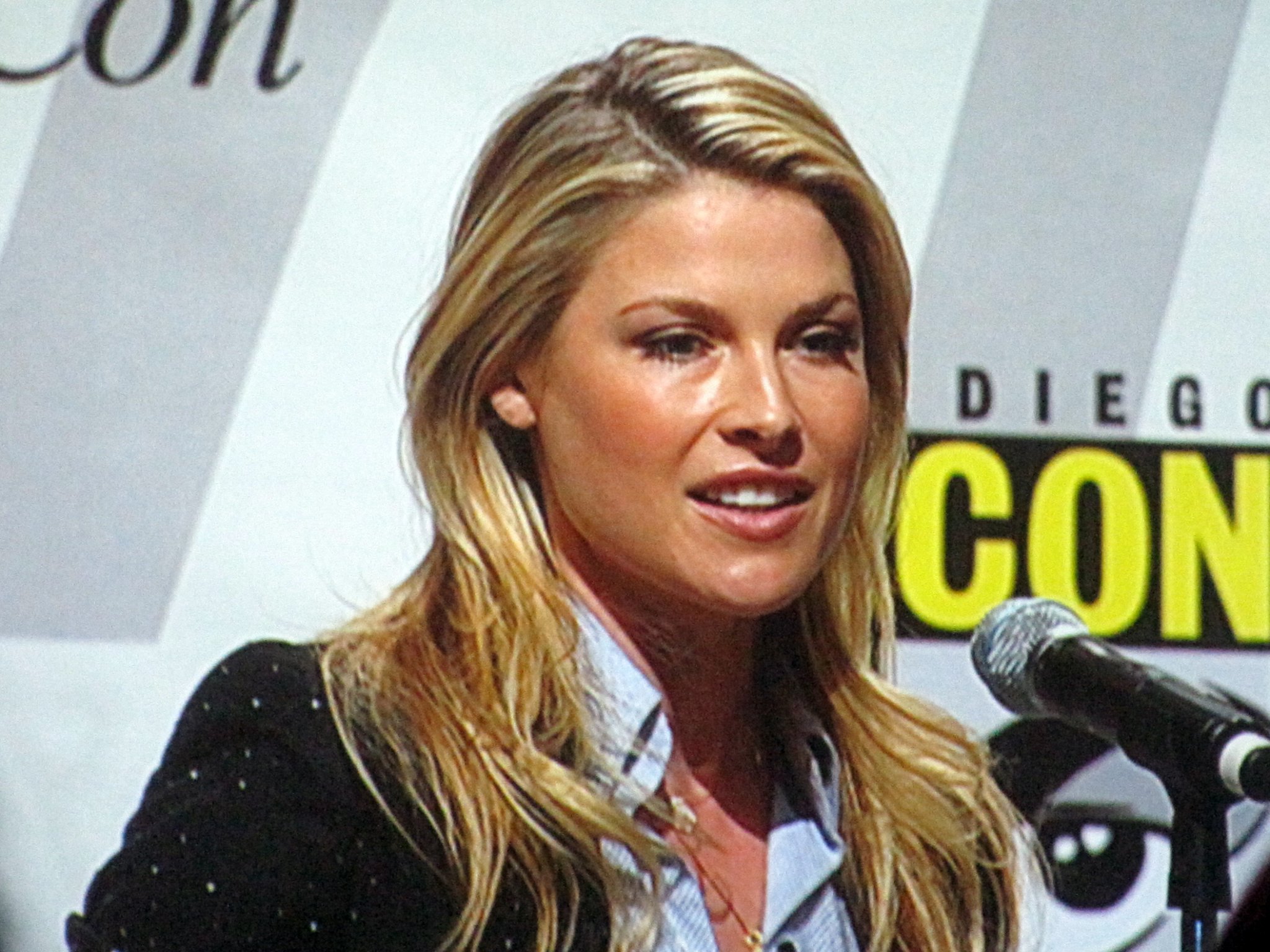 Happy Birthday Ali Larter She is 44.

 