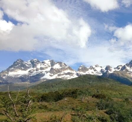 ftoloza's tweet image. 🍀🍀🍀
👉Reserva Nacional Laguna Parrillar
Región de Magallanes.

#ttot #Trekking #Viajes #TravelBlogger #travel #travelbloggers #ColoresDeChile