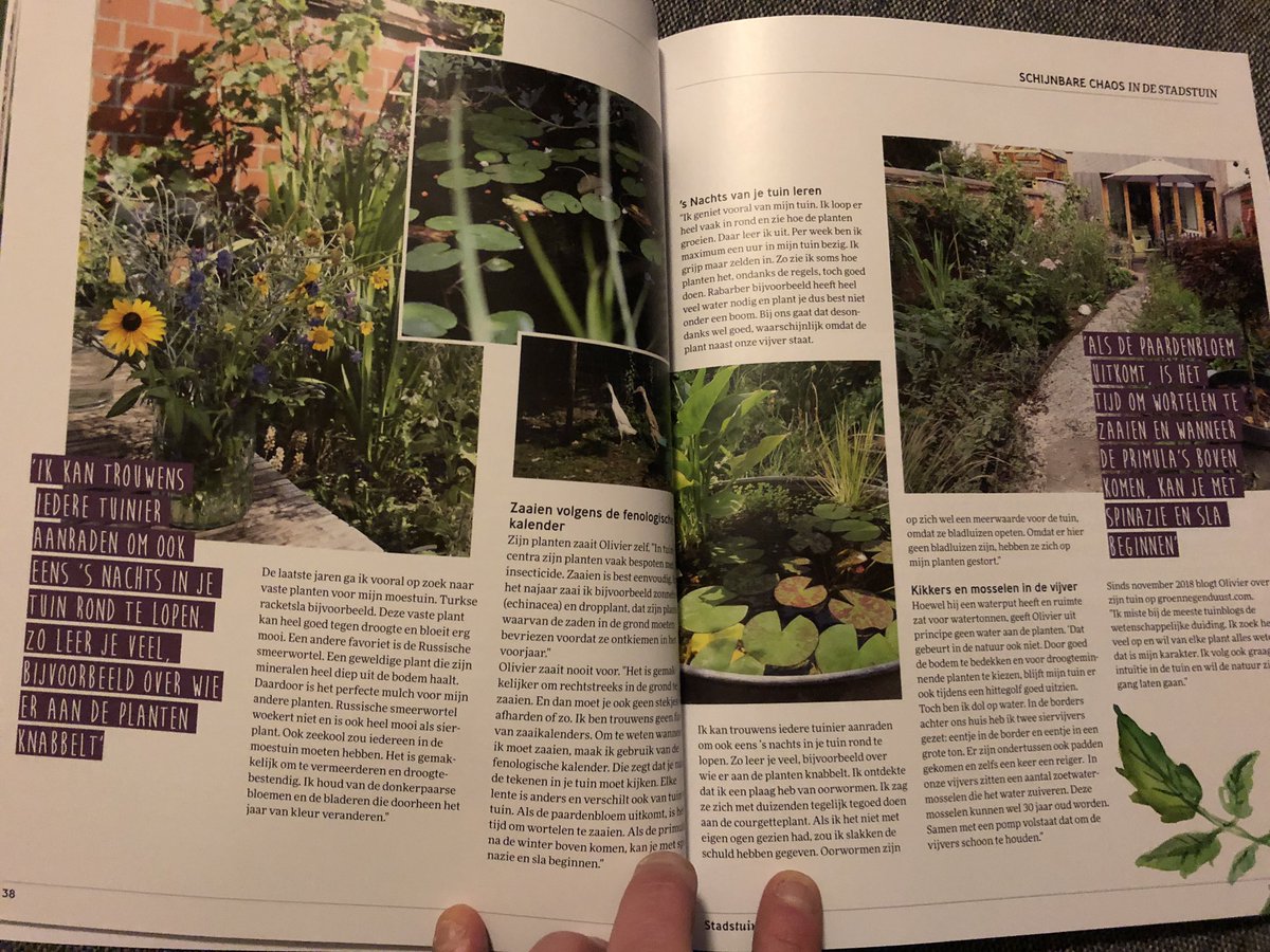 <a href="/CashewMagazine/">Stadstuinieren</a> En een artikel over mijn tuin