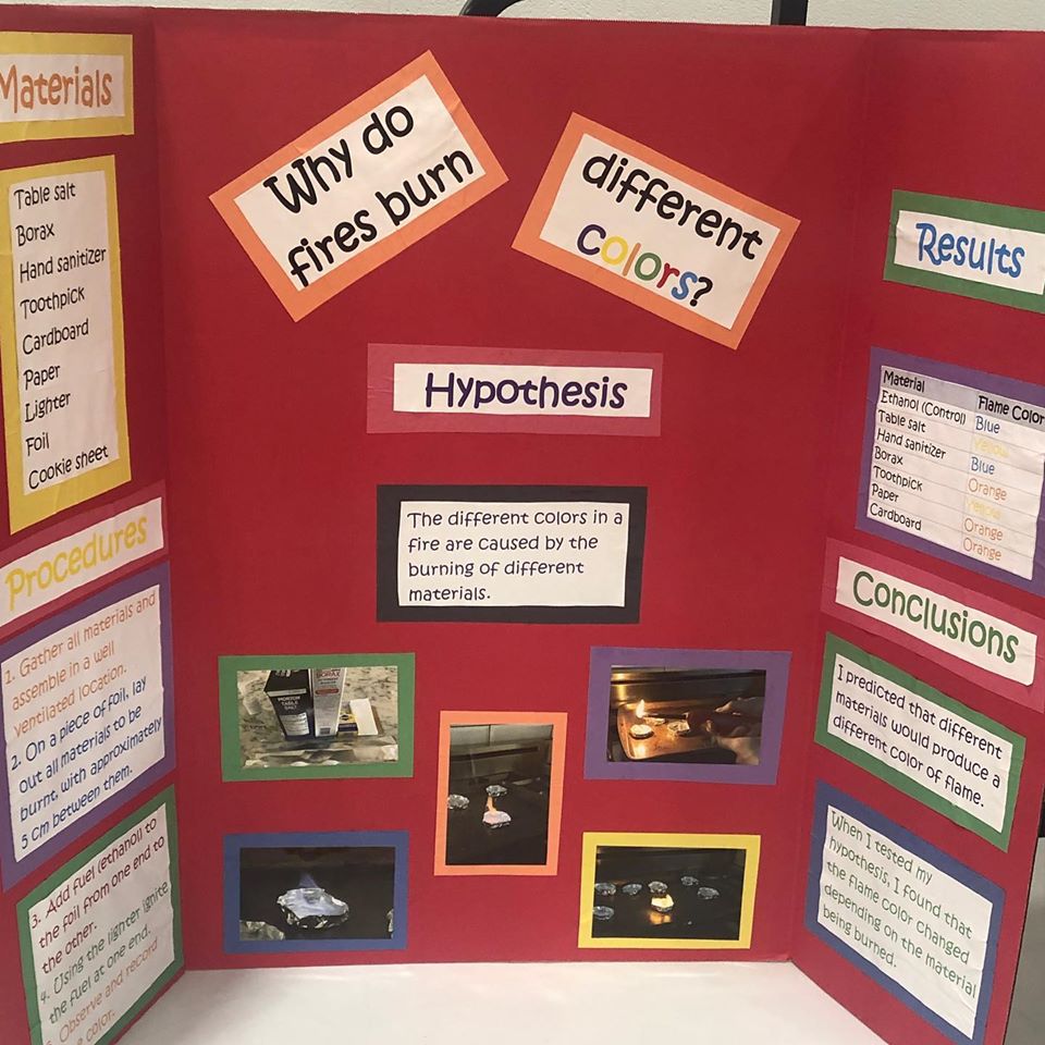 ed_pto's tweet photo. Just a sampling of the science on display at the Ed Smith Science Fair. Congratulations to all of our scientists for flexing their curiosity and creativity. @syracusecityschools  #SCSDScience @ed_pto https://t.co/8kA1YB0bcB