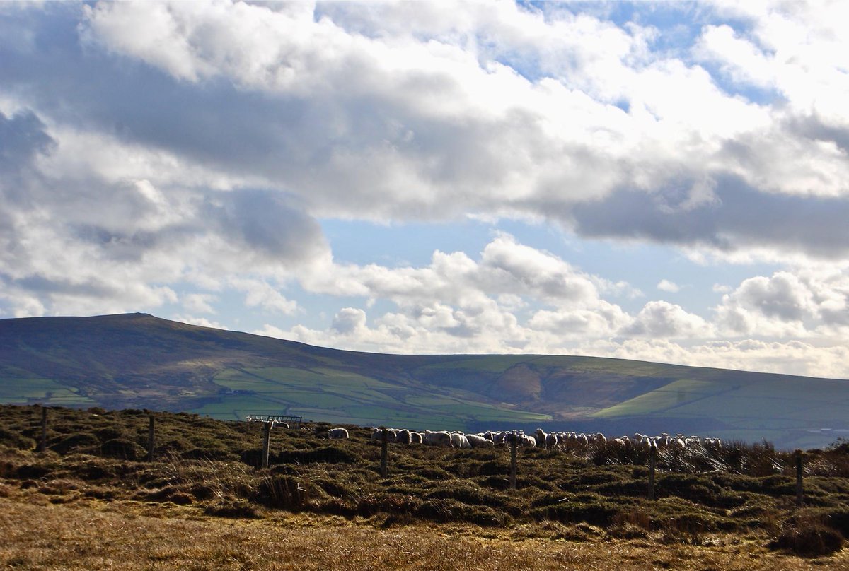 coolplacesuk's tweet image. This contemporary seaside B&amp;amp;B has unforgettable views of the Pembrokeshire coast, and if you book a 2-night stay before the end of March you'll receive 50% off your second night. It's a beautiful spot for a seaside winter break!

@ManorTownHouse 
bit.ly/2VvSkdq