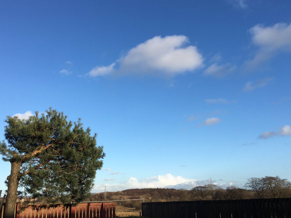 Ccmeadow1's tweet photo. #communitylung
#natureisournurture
#mentalhealth
#onceitsgoneitsgone
#heartofcardowan
#Peoplematter
#greenbelt
#wetland
#badgers
#natureisournurture
#slipperfarm
#expansionism
#Politiciansdoyourjob
#ethniccleansing
#cardonian
#housesdontgobacktogreenbelt
https://t.co/ZVFYFSY29K https://t.co/zYDwHMoNF8