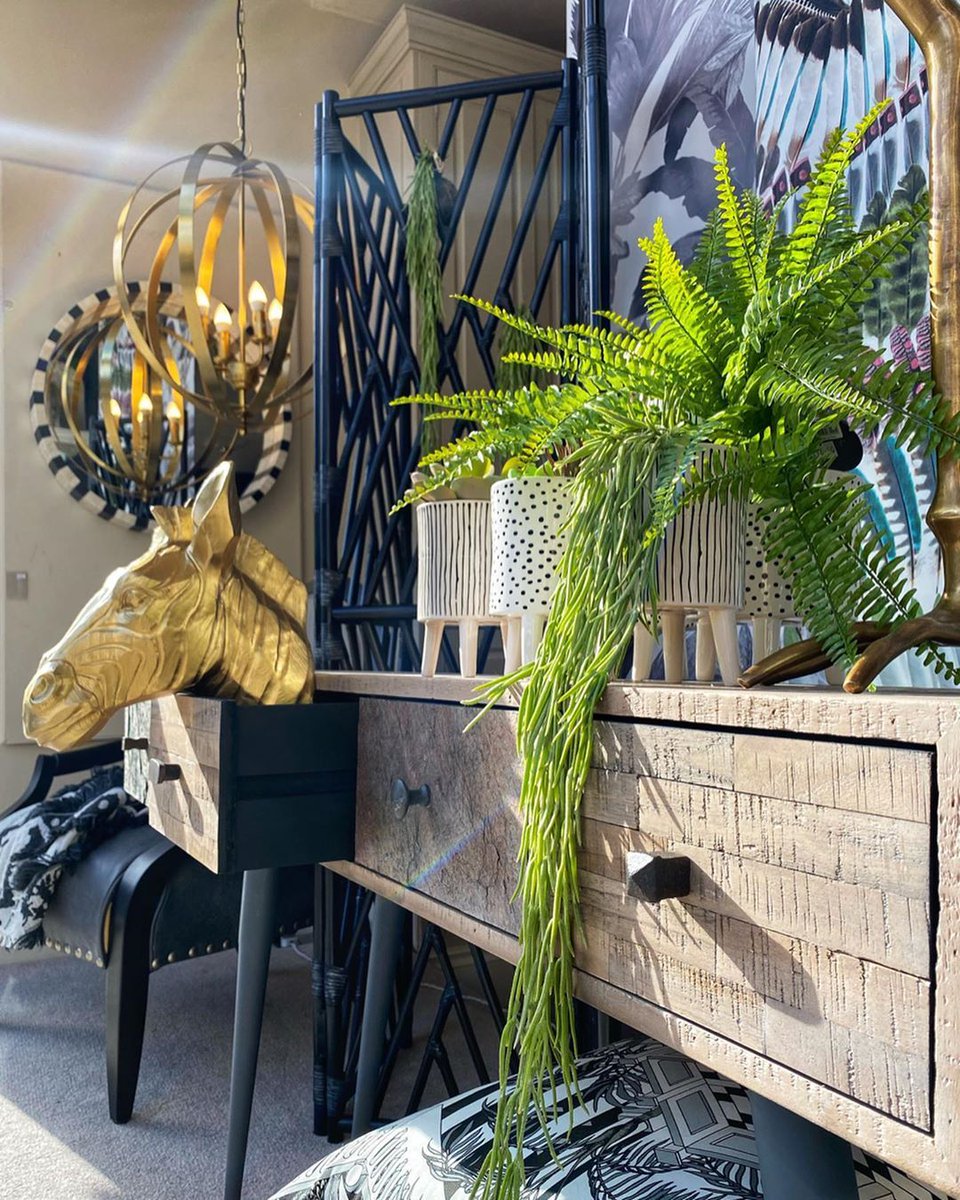 indieyorkmap's tweet image. @plaskitt_and_plaskitt on Blossom Street - Zion the gold zebra sitting perfectly in their new tribal inspired window display 🦓 🌿 #interiordesign
#interiorstyling
#springwindowdisplay
#plaskittandplaskitt