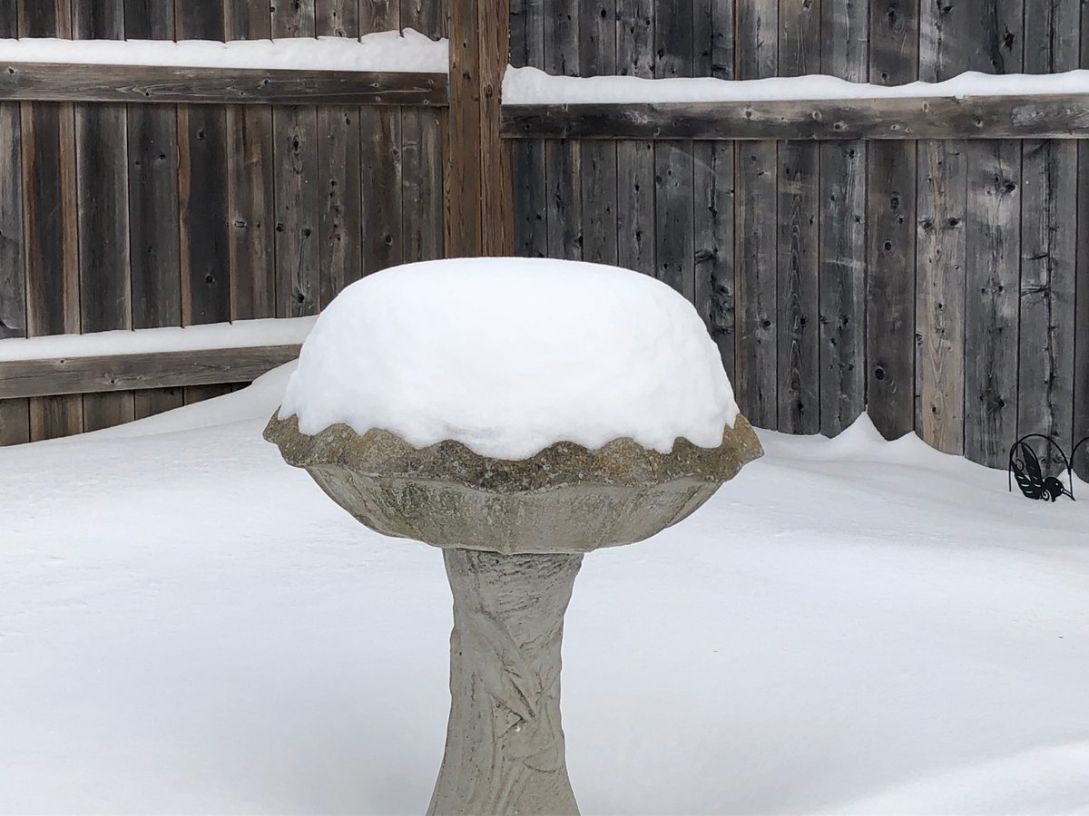 Barrie360's tweet photo. 3 minutes and 1 second more daylight today; 20 days until spring... https://t.co/18ujh5Ywlz