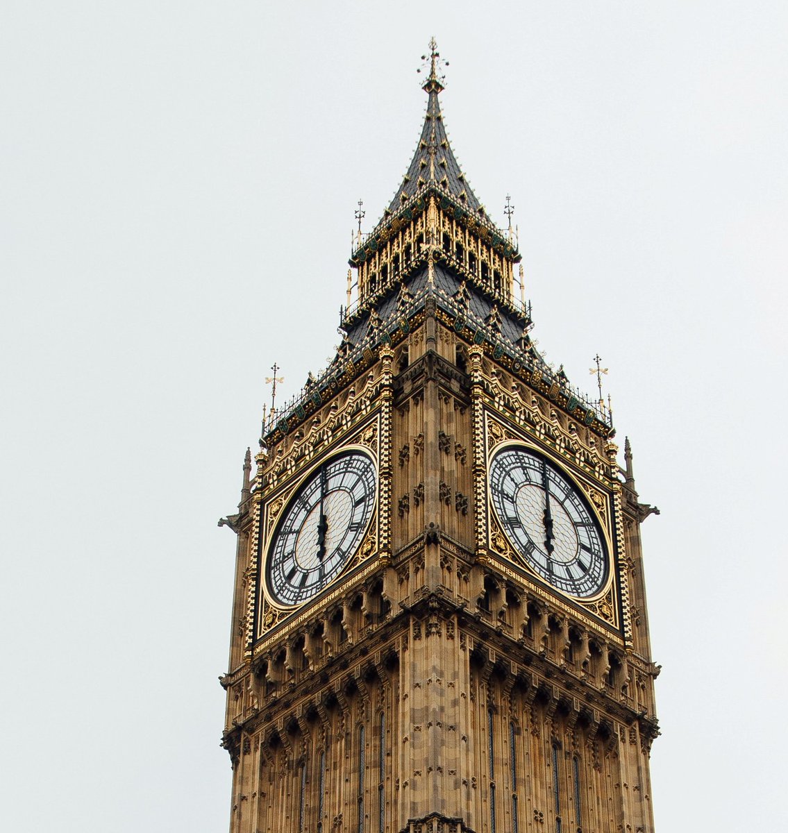 SAM Online tweet media