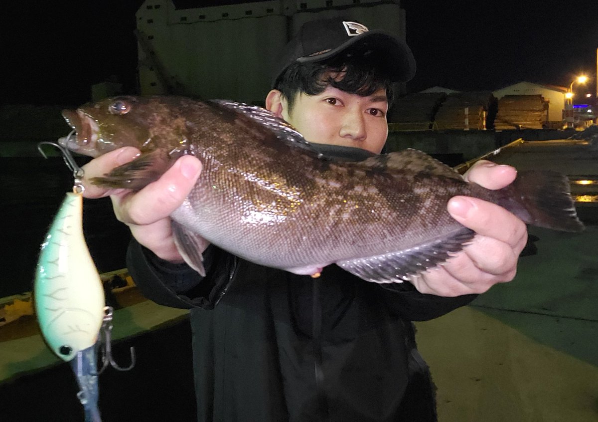 対馬 大湧 函館湾xdayナイトロック ショットオーバー7でアイナメ 開始2投目の出来事 明日も頑張ろう