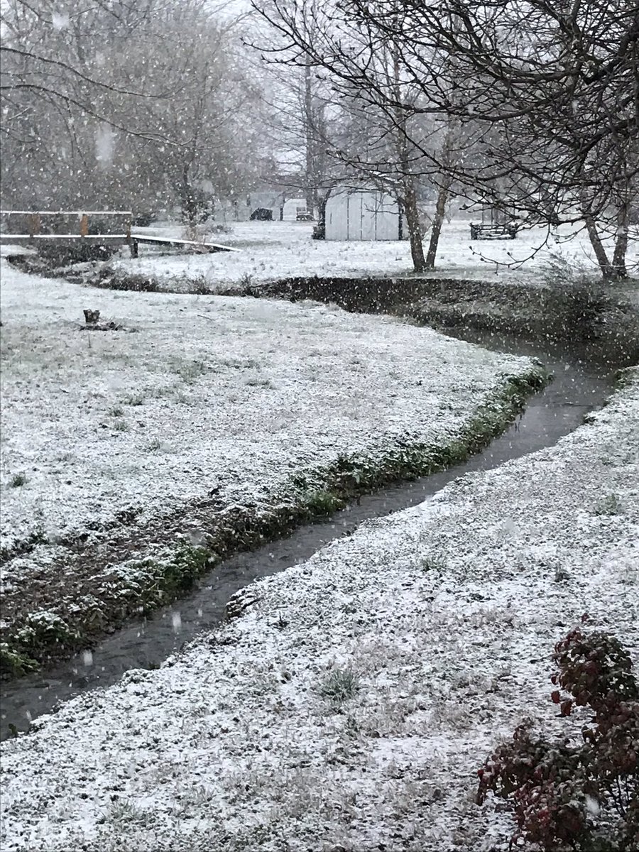 katisnow_'s tweet photo. A little snow in Bell Buckle ♥️ @NC5_LelanStatom https://t.co/P655MDpyxB