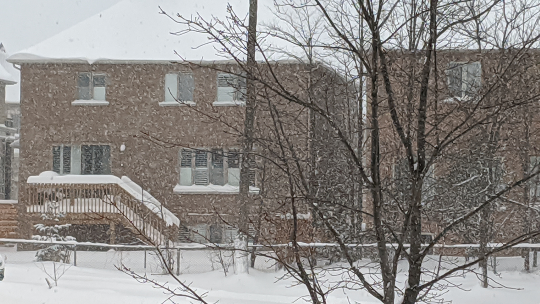 BarrieCHC's tweet photo. #BCHC Closed Today - 
Due to the inclement weather we are closed today, Friday the 28th of February 2020. https://t.co/m3m1TA12b9 https://t.co/SyNtft8Ef2