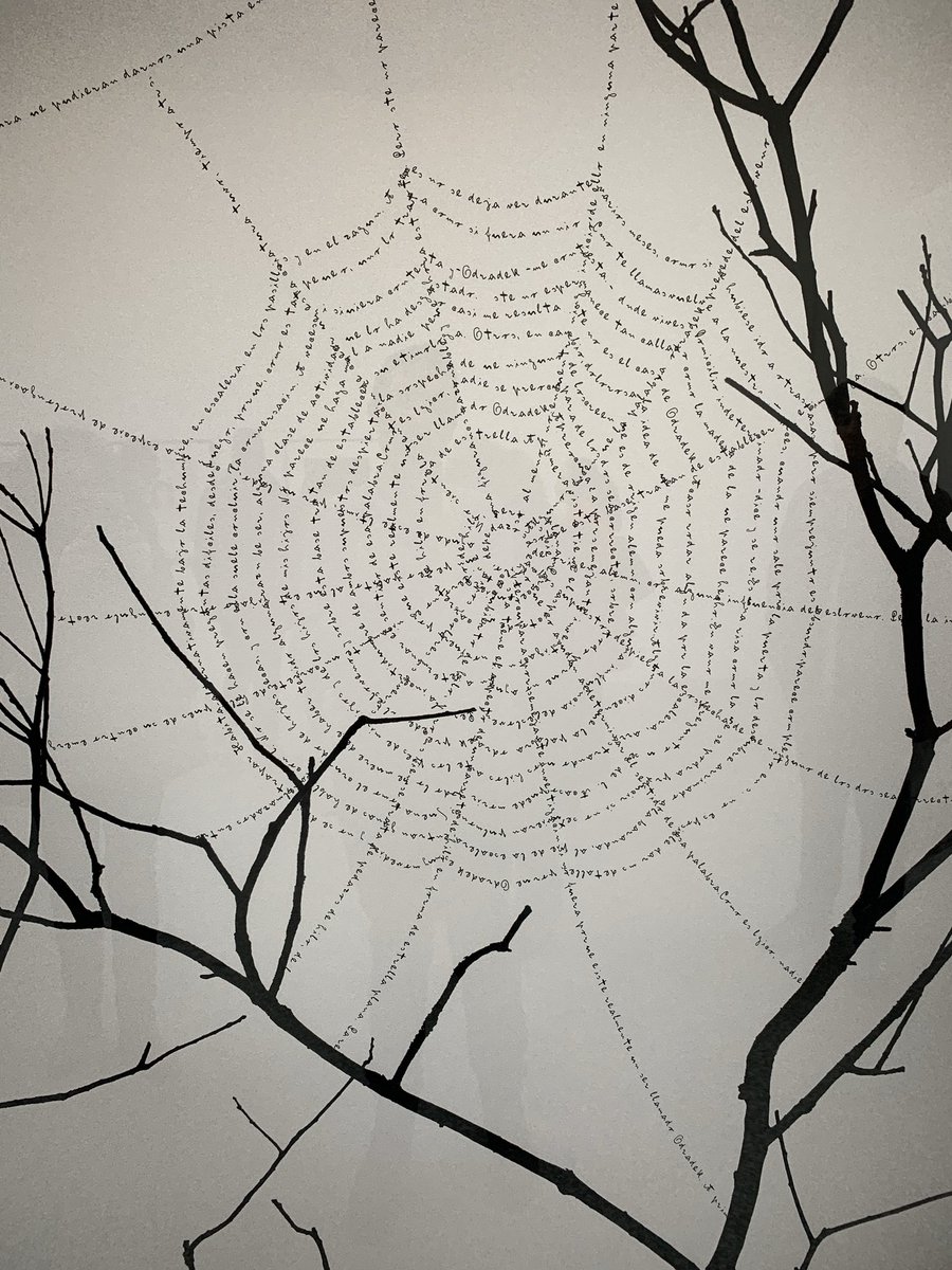 Os recordamos que la exposición: "La naturaleza de las cosas" de @ChemaMadoz se ha prorrogado hasta el 15 de marzo. Pabellón Villanueva del <a href="/RJBOTANICO/">REAL JARDÍN BOTÁNICO</a>  rjb.csic.es/jardinbotanico…