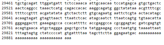 flashboy's tweet photo. I like how the genome of the Wuhan coronavirus trails off in a scream, like it's been stabbed or pushed off a cliff https://t.co/XHZzb3UrCj https://t.co/PqnUyopW0K