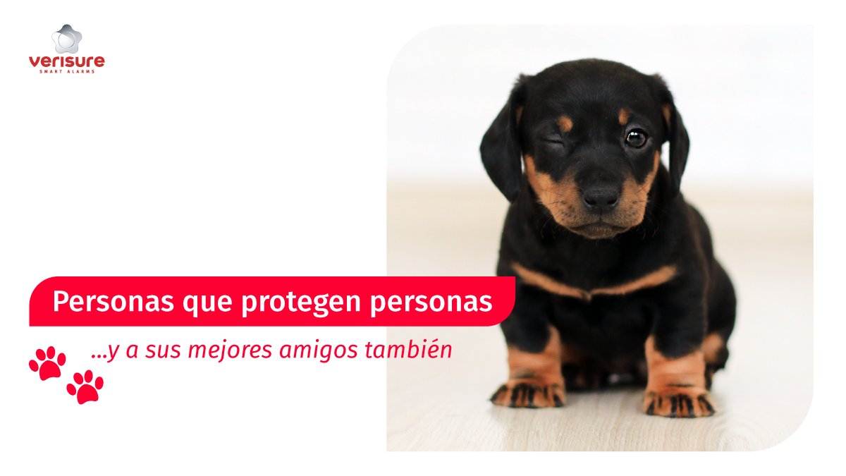 ¿La cosa más valiosa del mundo? También protegemos a tu mejor amig@. Comparte una foto con nosotros de tu mascota.