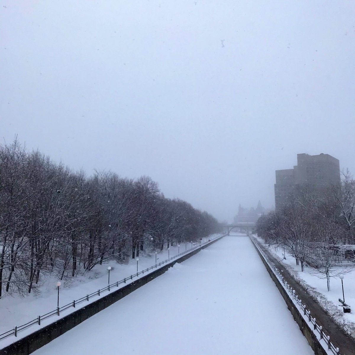 Forgot my wallet, my bus pass doesn’t have enough cash for a bus trip (and buses are late anyway...), forgot that I ate half of my lunch last night when I got woken up by a page... At least walking to work this morning feels like living in winter wonderland ❄️ 🥰