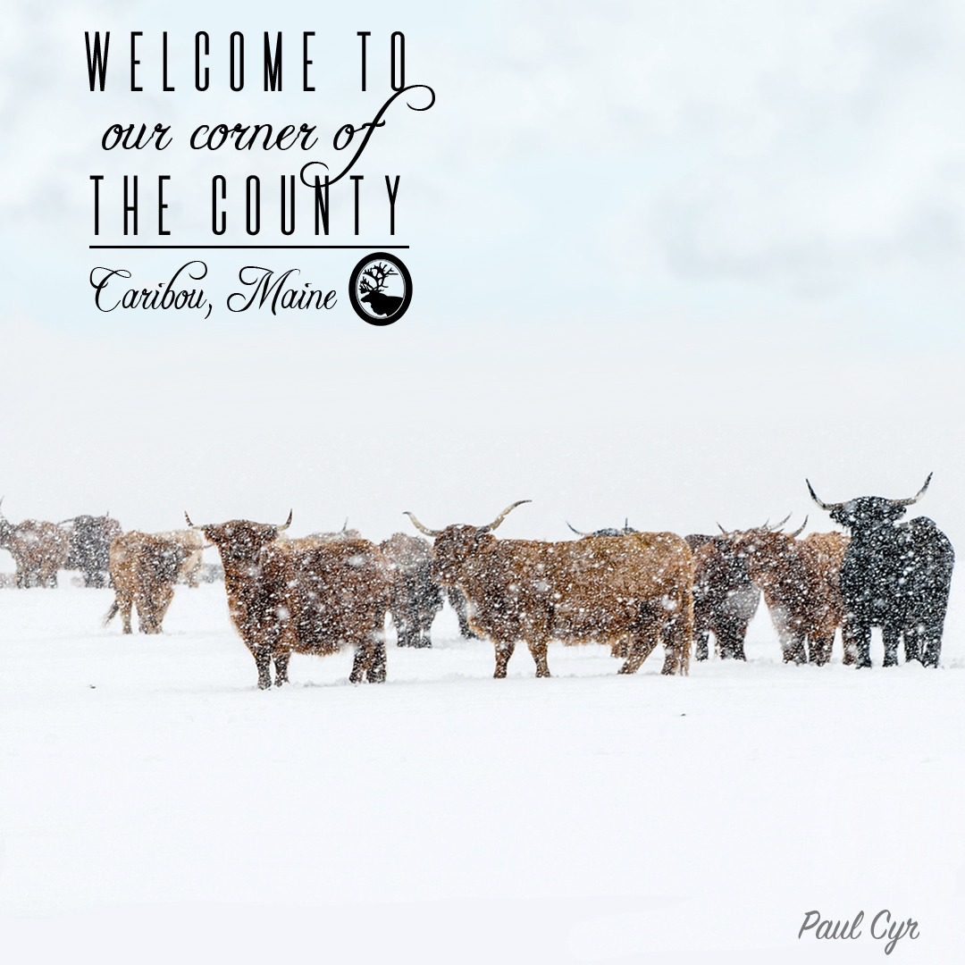 ❄️❄️❄️
#winterwonderland #ourcornerofthecounty