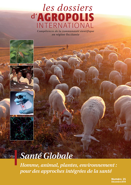 Agropolis's tweet photo. 📣#maladies infectieuses #épidémie
Consultez le 25e dossier d’#agropolis qui fait le point sur les multiples compétences &amp; sur les approches systémiques en santé développées par la communauté scientifique en #Occitanie 66 unités de recherche mentionnées 
➡️https://t.co/Ara88k3Jyf https://t.co/MFpOydCtNP