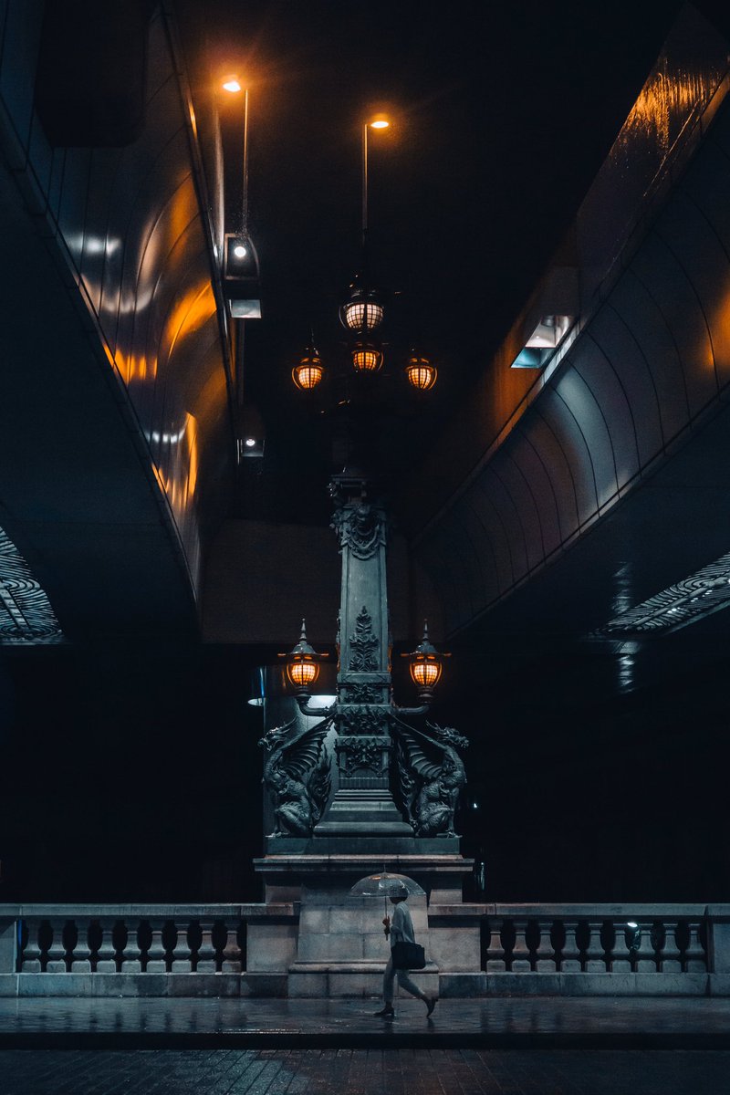 I Dauyu 雨の日本橋