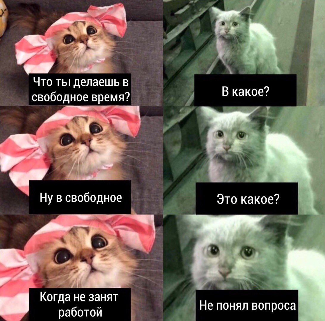 SafarovArt's tweet photo. Да https://t.co/XURARyDORQ