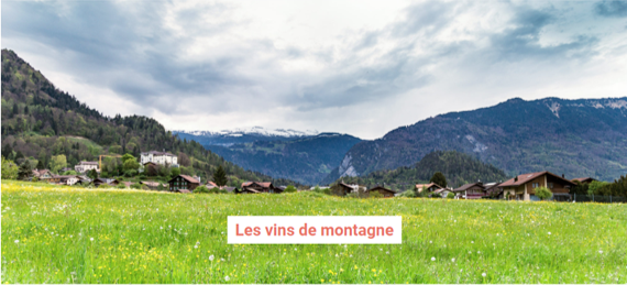 A quelques heures du prochain chassé-croisé des #vacances de février, nous vous partageons tout sur les #vins de montagne. #jura #AOC #savoie #bugey #HauteSavoie #vinchaud
<a href="/_Vinovae/">VINOVAE</a> <a href="/villageCACB/">Le Village by CA Champagne-Bourgogne</a> 
#vin #winelovers #cadeau 
domainedugout.com/box-de-vins-de…